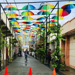 Meet your Posher, Jaylyn